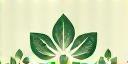 Logo CialowFormiea